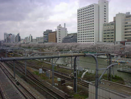 ���������猩���O�x�����̍�